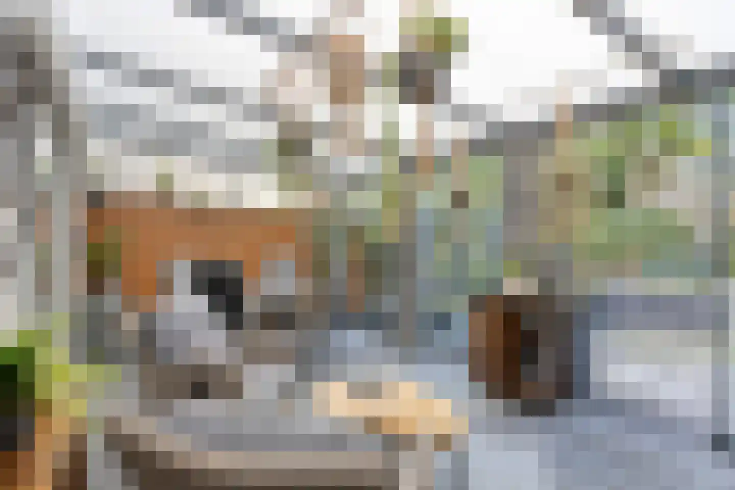 Ringoven 29 Roermond thumbnail 35