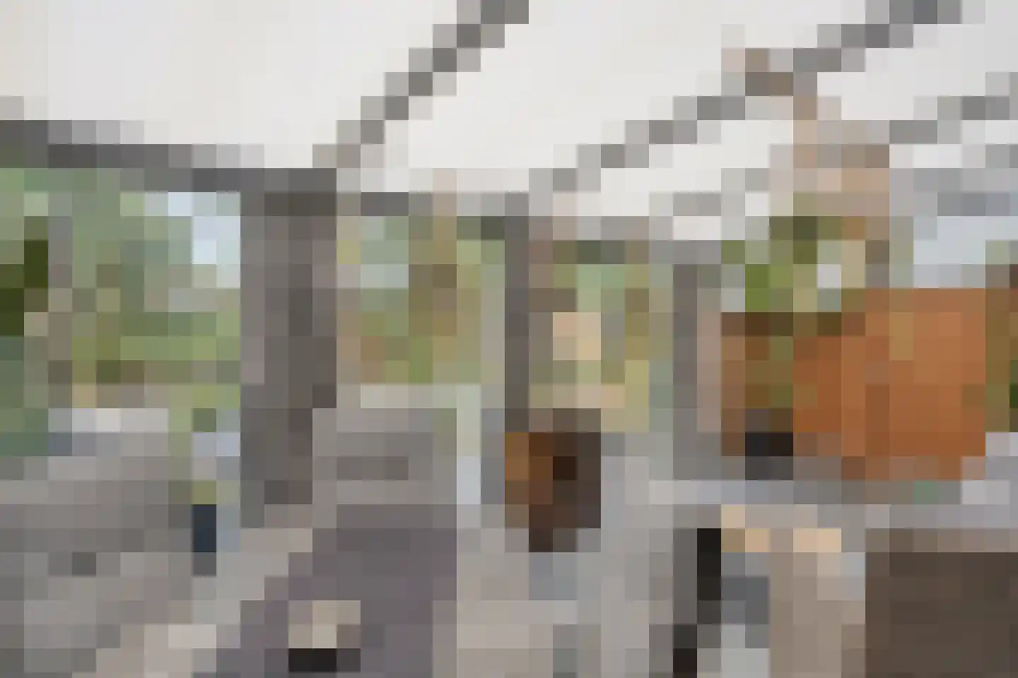 Ringoven 29 Roermond thumbnail 37