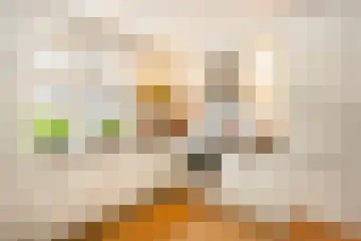 Ringoven 3 Wijk bij Duurstede thumbnail 10