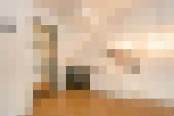 Ringoven 3 Wijk bij Duurstede thumbnail 12