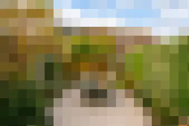 Ringoven 3 Wijk bij Duurstede thumbnail 14