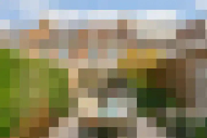 Ringoven 3 Wijk bij Duurstede thumbnail 16