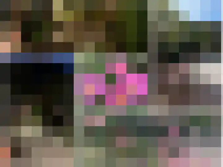 Ringoven 3 Wijk bij Duurstede thumbnail 17