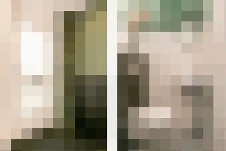 Ringoven 3 Wijk bij Duurstede thumbnail 18