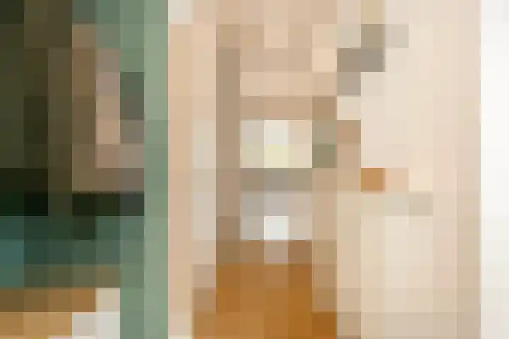 Ringoven 3 Wijk bij Duurstede thumbnail 19