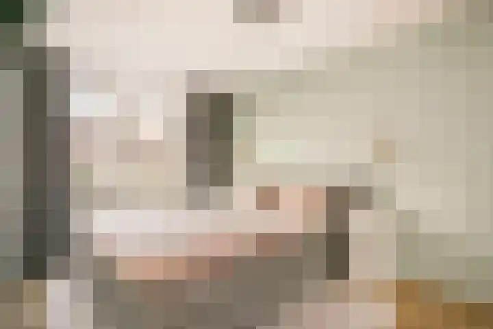 Ringoven 3 Wijk bij Duurstede thumbnail 21