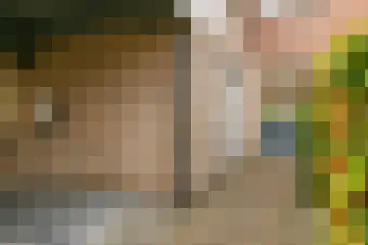 Ringoven 3 Wijk bij Duurstede thumbnail 35