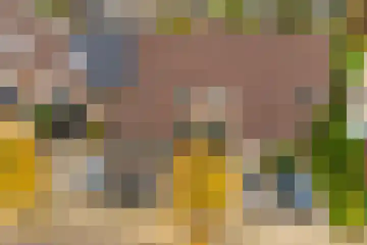 Ringoven 3 Wijk bij Duurstede thumbnail 38