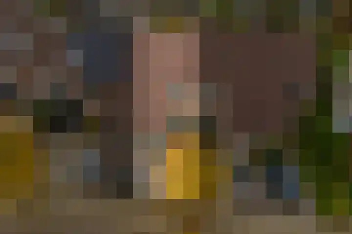 Ringoven 3 Wijk bij Duurstede thumbnail 39