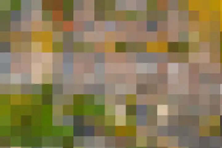Ringoven 3 Wijk bij Duurstede thumbnail 40