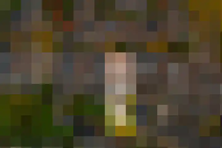 Ringoven 3 Wijk bij Duurstede thumbnail 41