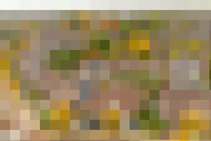 Ringoven 3 Wijk bij Duurstede thumbnail 42