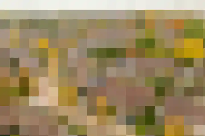 Ringoven 3 Wijk bij Duurstede thumbnail 43