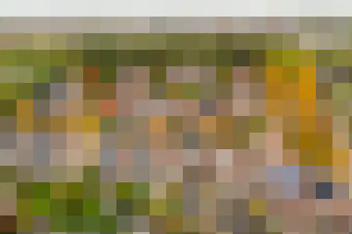 Ringoven 3 Wijk bij Duurstede thumbnail 45