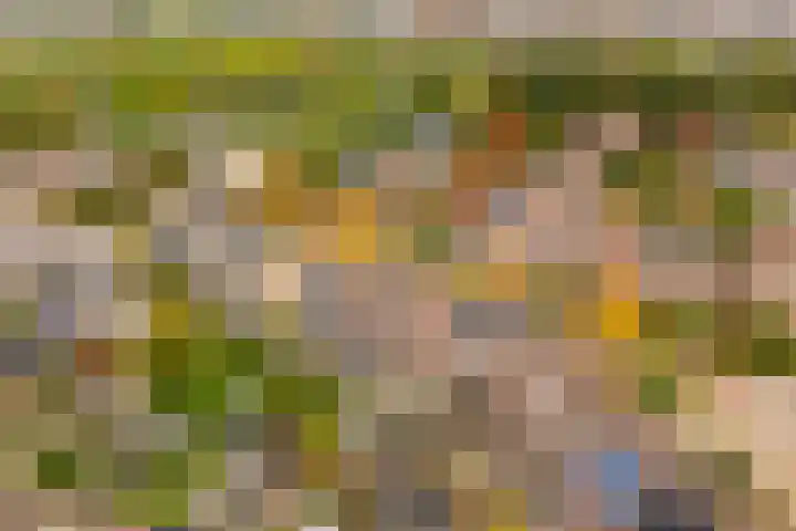 Ringoven 3 Wijk bij Duurstede thumbnail 46