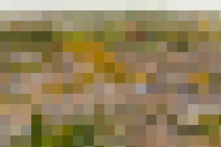 Ringoven 3 Wijk bij Duurstede thumbnail 47
