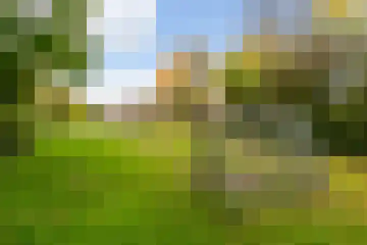 Ringoven 3 Wijk bij Duurstede thumbnail 48