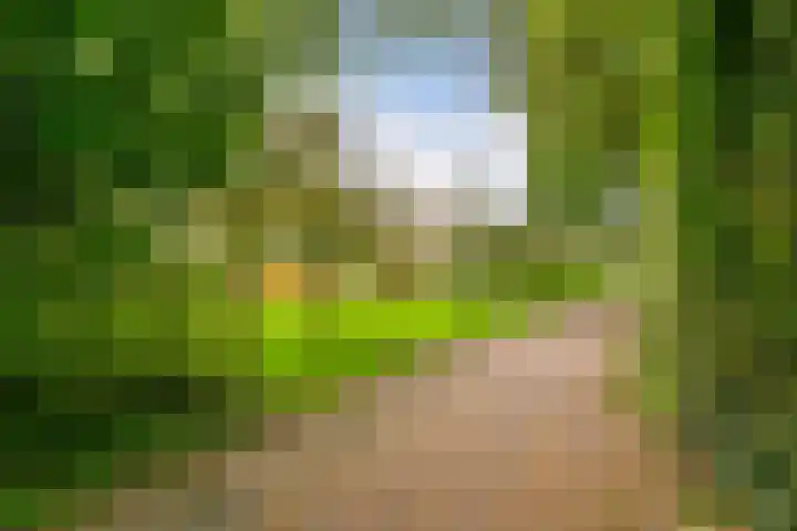 Ringoven 3 Wijk bij Duurstede thumbnail 49
