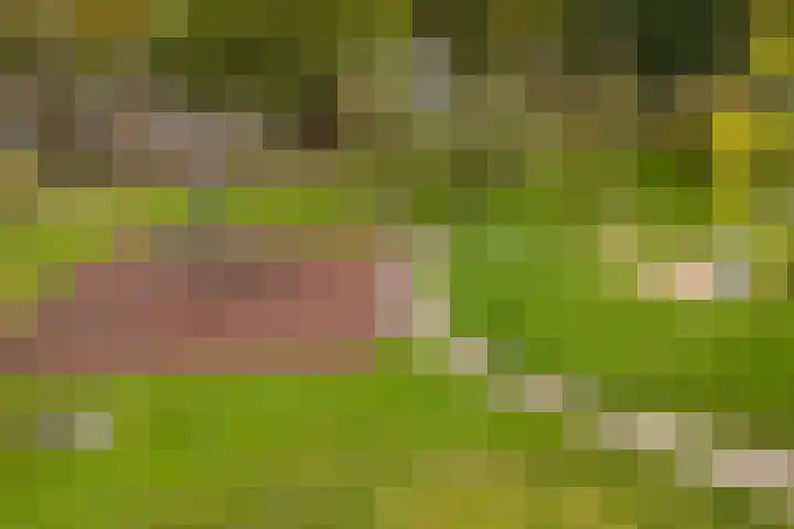 Ringoven 3 Wijk bij Duurstede thumbnail 50