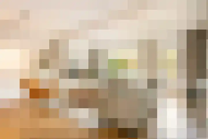 Ringoven 3 Wijk bij Duurstede thumbnail 6