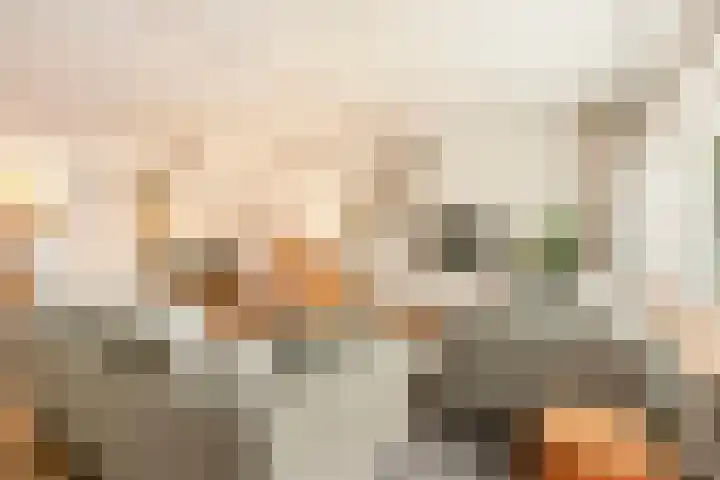 Ringoven 3 Wijk bij Duurstede thumbnail 8