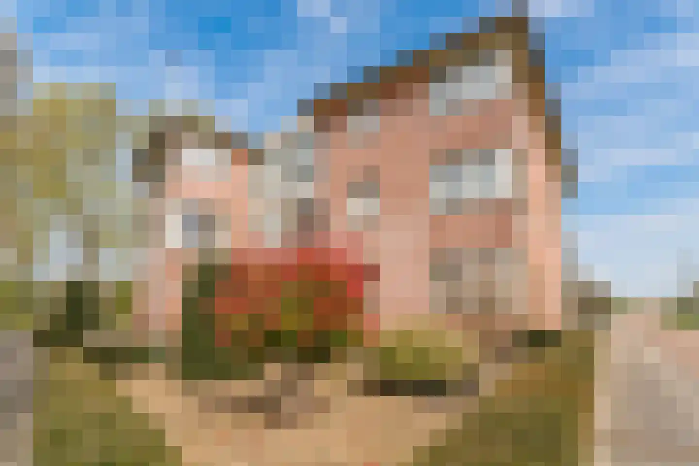 Ringoven 32 Giesbeek thumbnail 10