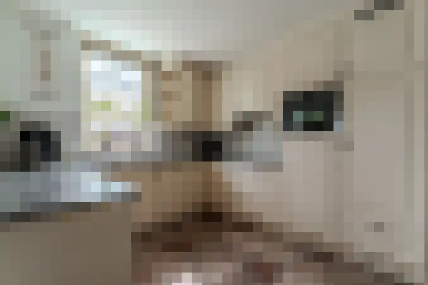 Ringoven 32 Giesbeek thumbnail 19