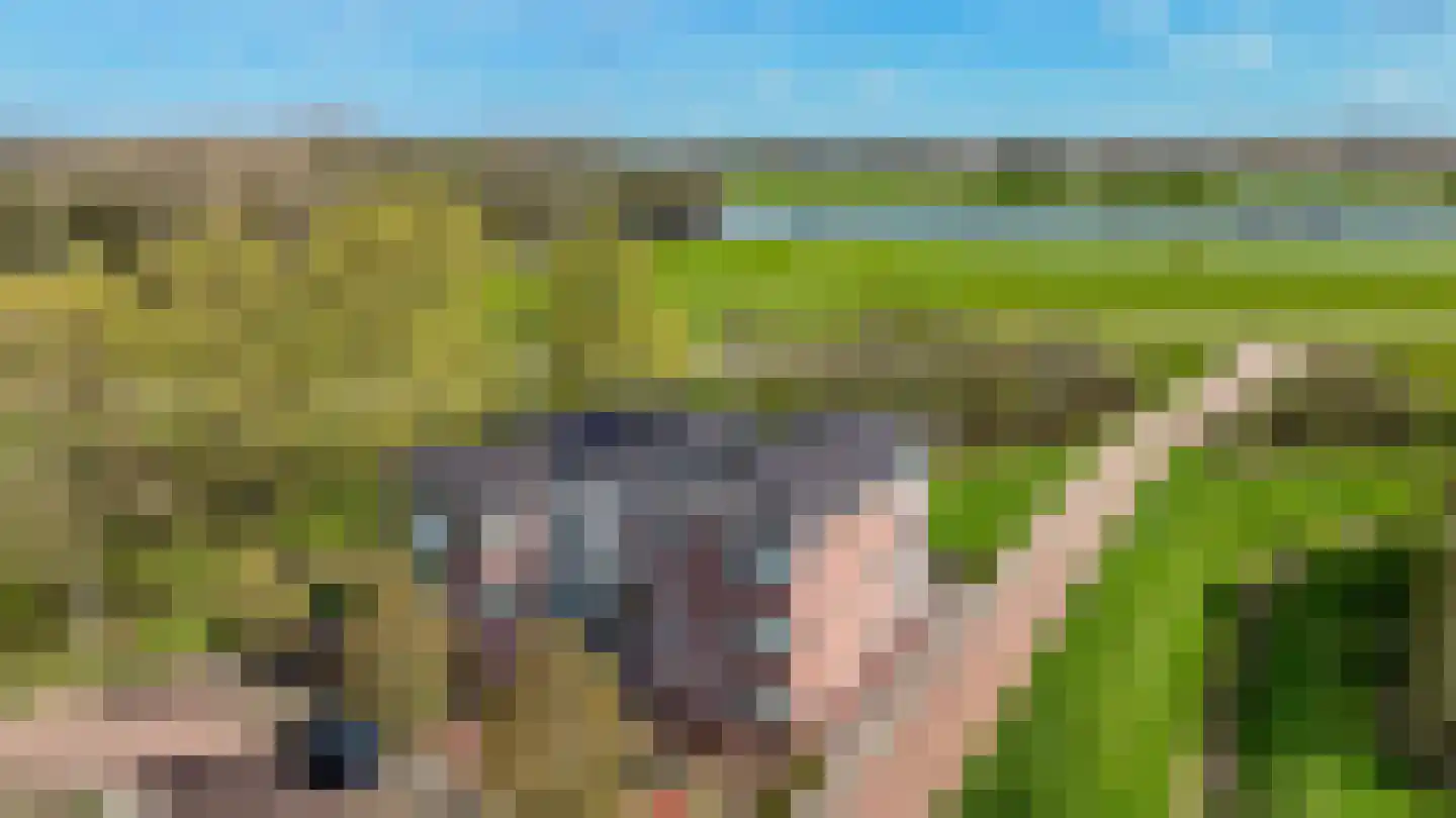 Ringoven 32 Giesbeek thumbnail 42