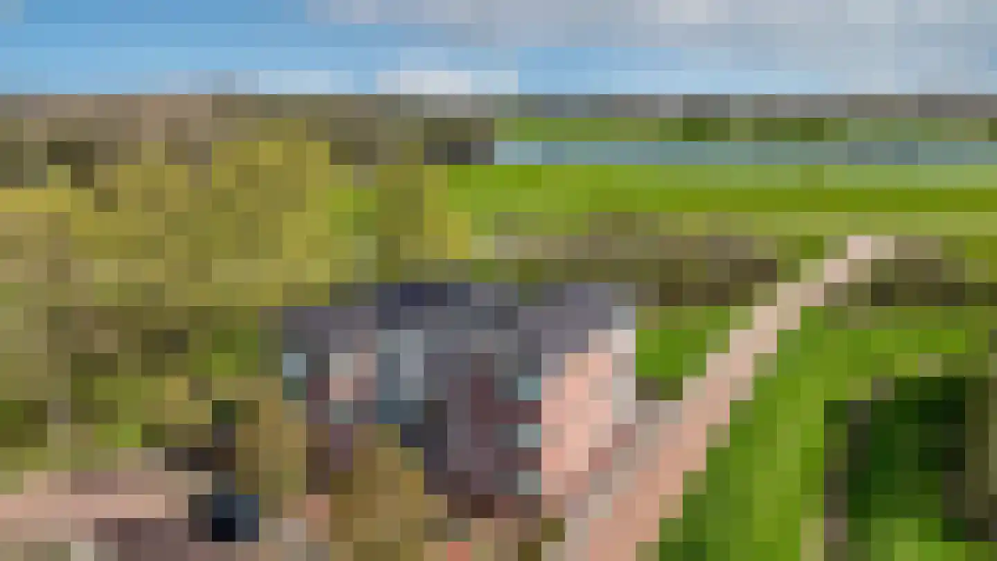 Ringoven 32 Giesbeek thumbnail 43