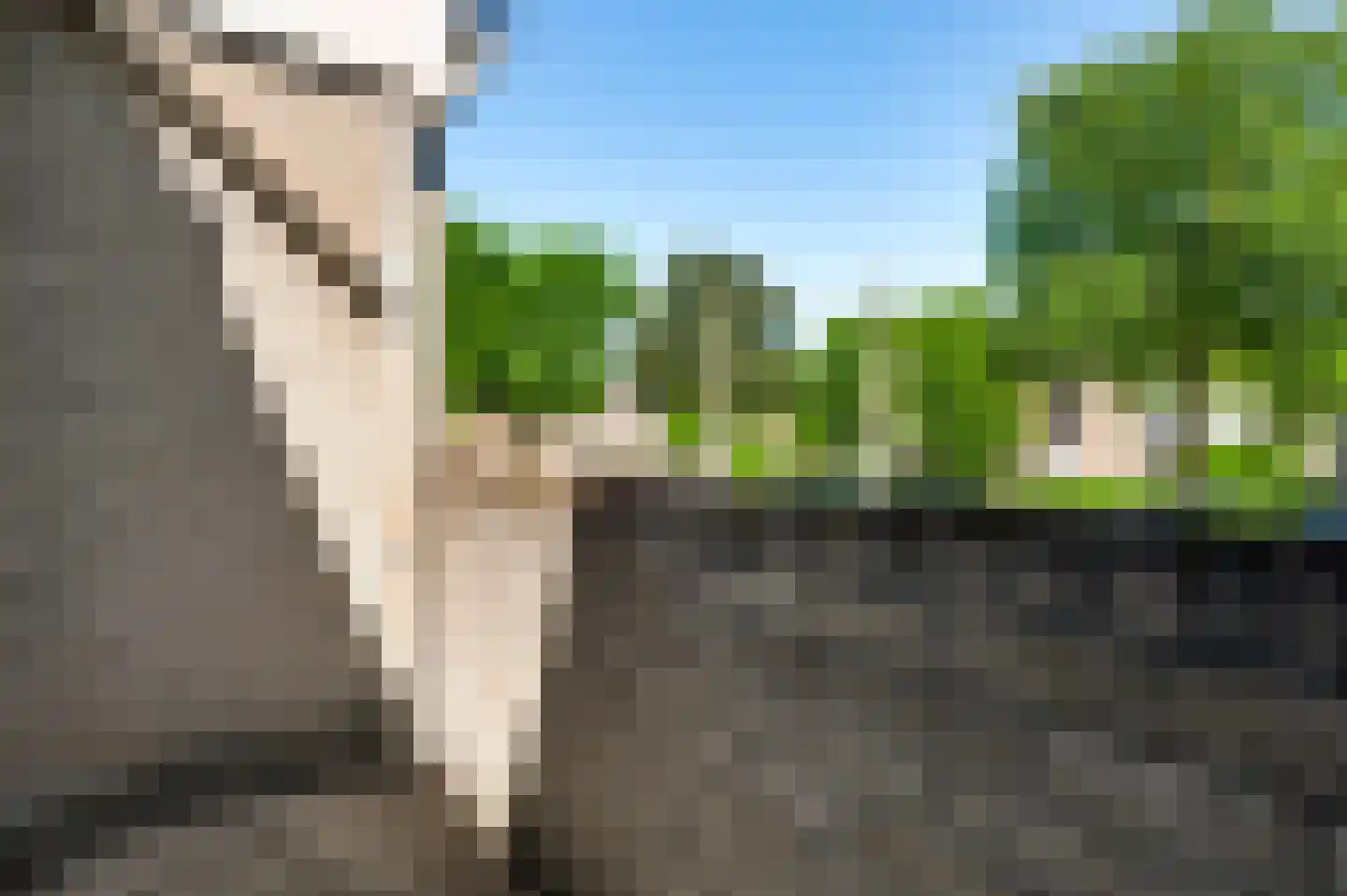 Ringoven 35 Roermond thumbnail 33