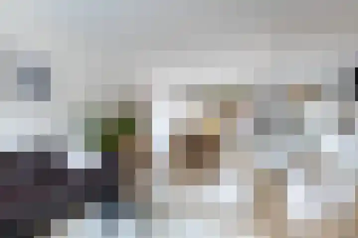Ringoven 51 Wijk bij Duurstede thumbnail 10