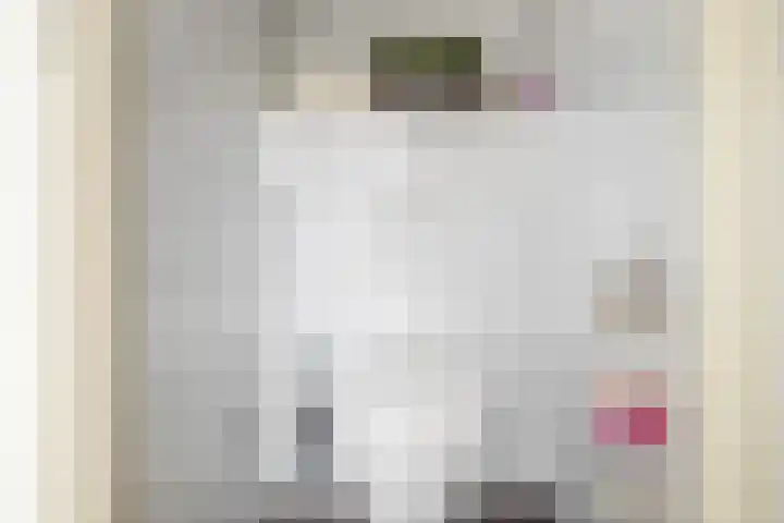 Ringoven 51 Wijk bij Duurstede thumbnail 17
