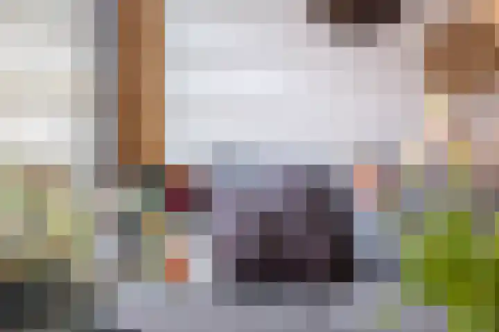 Ringoven 51 Wijk bij Duurstede thumbnail 23
