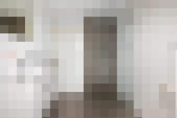 Ringoven 51 Wijk bij Duurstede thumbnail 32