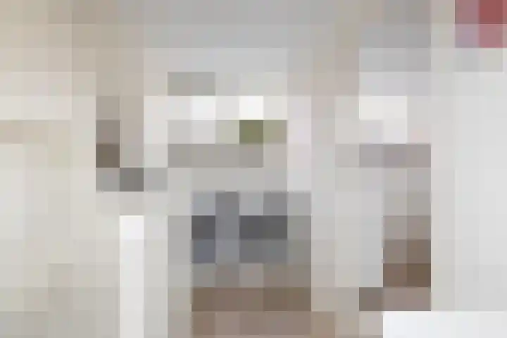 Ringoven 51 Wijk bij Duurstede thumbnail 36