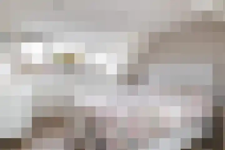 Ringoven 51 Wijk bij Duurstede thumbnail 37