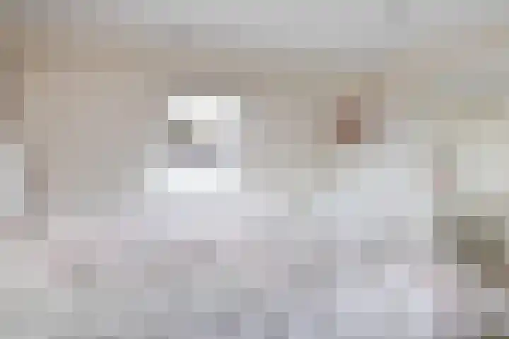 Ringoven 51 Wijk bij Duurstede thumbnail 39