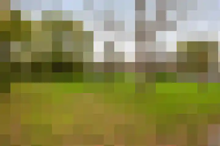 Ringoven 51 Wijk bij Duurstede thumbnail 40