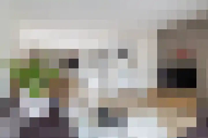 Ringoven 51 Wijk bij Duurstede thumbnail 9