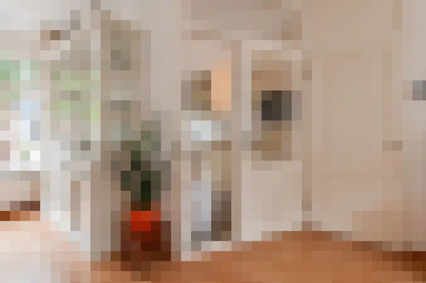 Ringoven 52 Wijk bij Duurstede thumbnail 10