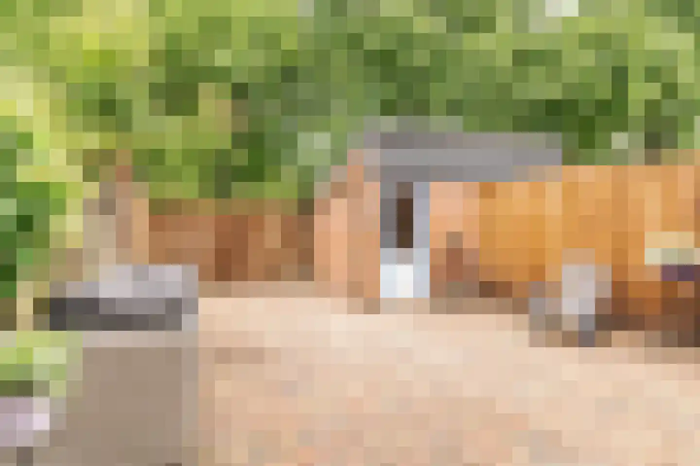 Ringoven 52 Wijk bij Duurstede thumbnail 14