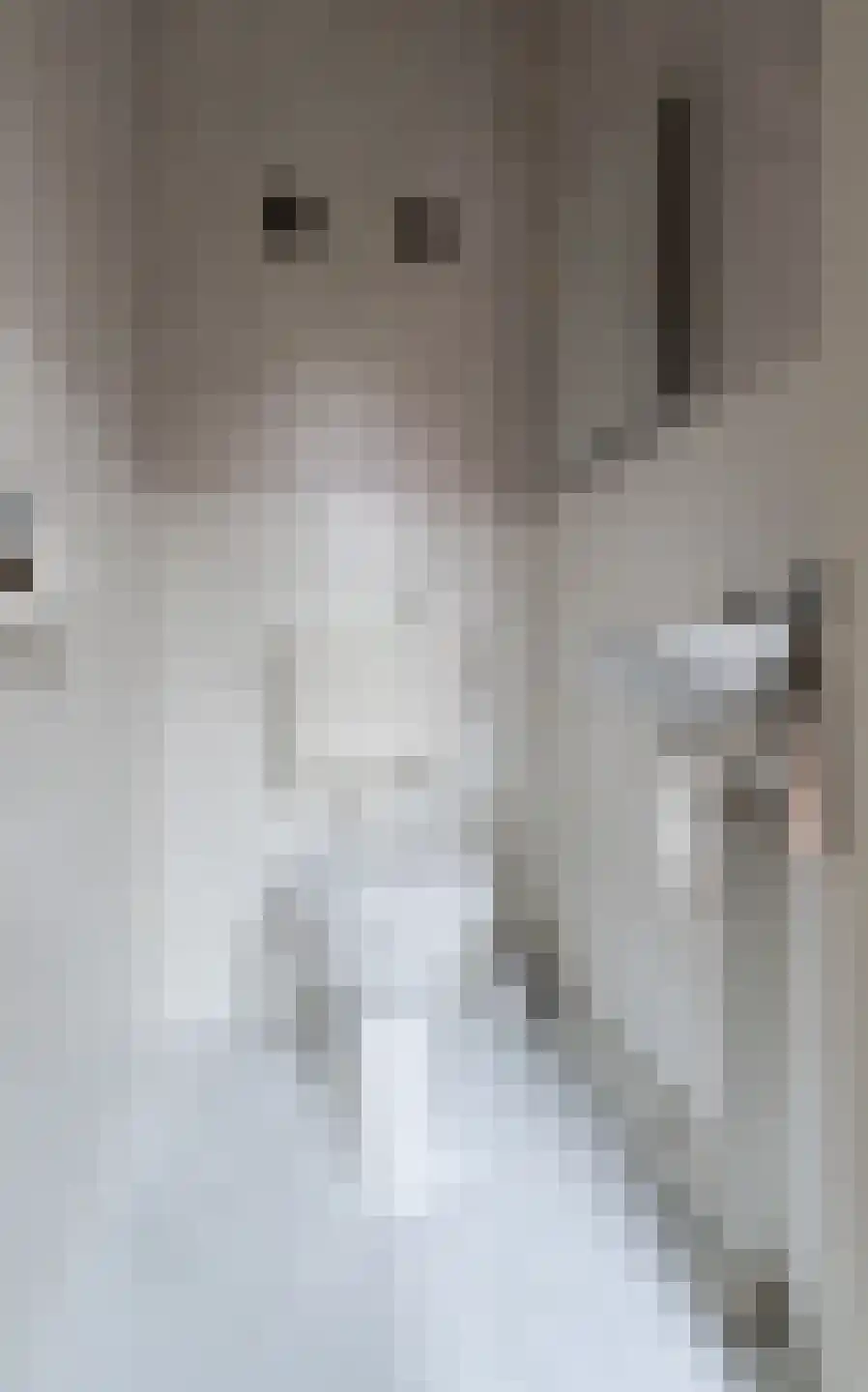 Ringoven 52 Wijk bij Duurstede thumbnail 6
