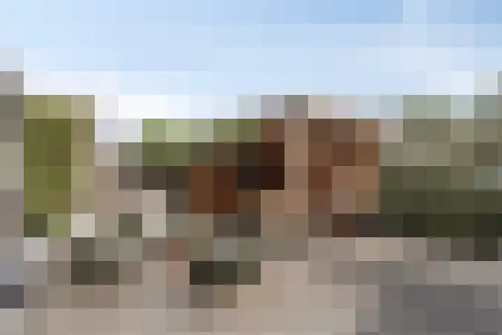 Ringoven 57 Overloon thumbnail 29