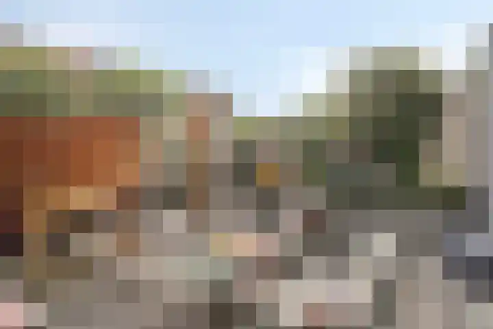 Ringoven 57 Overloon thumbnail 30