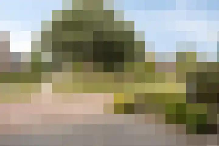 Ringoven 57 Overloon thumbnail 32