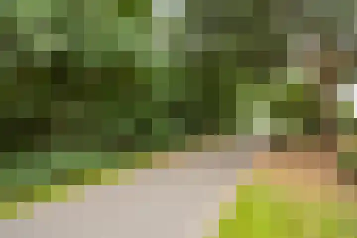Ringoven 57 Overloon thumbnail 34