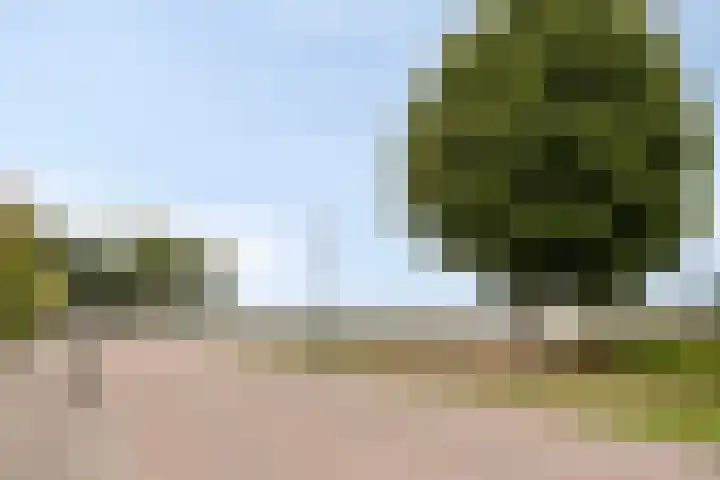 Ringoven 57 Overloon thumbnail 36