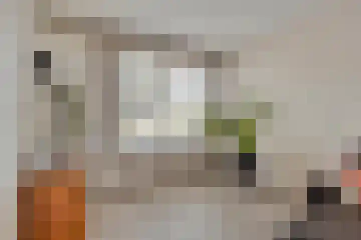 Ringoven 57 Overloon thumbnail 6