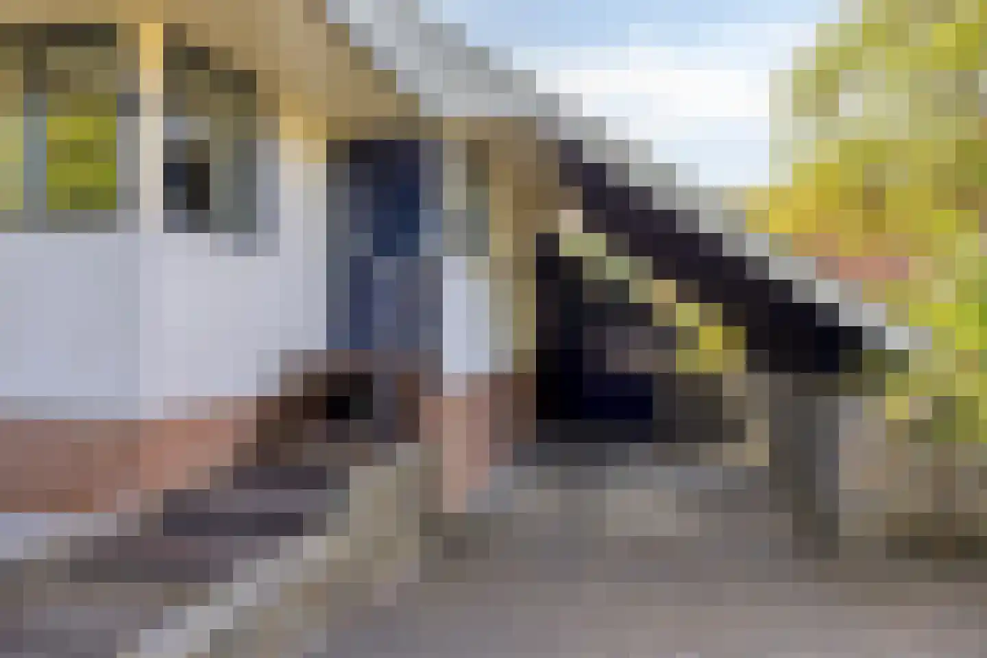 Ringoven 6 Borne thumbnail 10