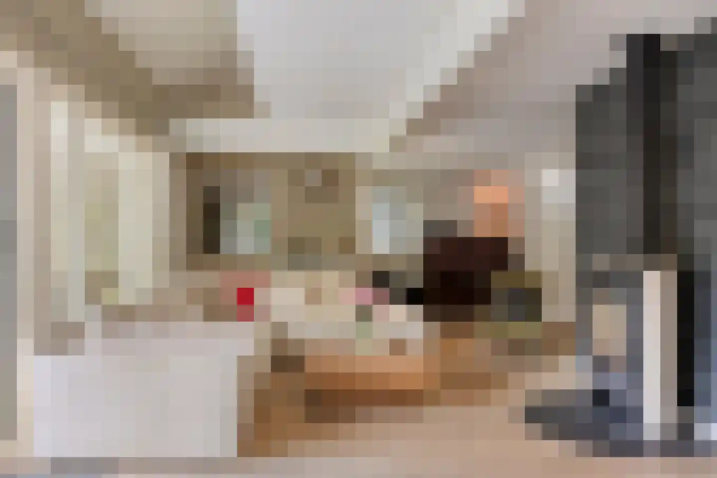 Ringoven 6 Borne thumbnail 16